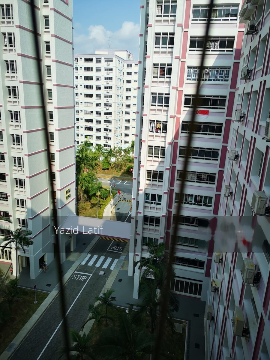 Blk 245 Pasir Ris Street 21 (Pasir Ris), HDB Executive #209273411